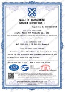 quality management system certificate iso9001